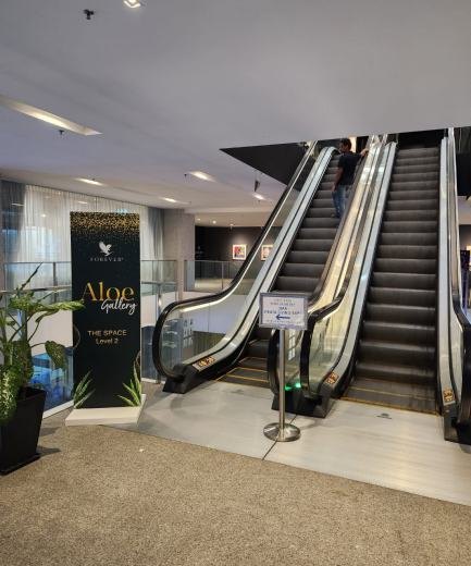 Forever Living Aloe Gallery Event event photo 2, 2025