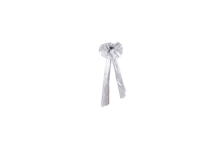 Silver Lamhe