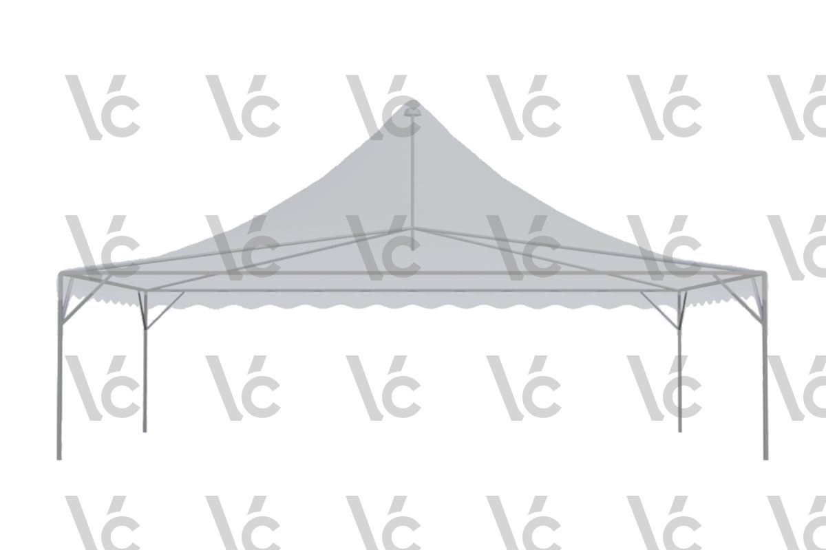 Canopy Arabian / High Top 20ft x 30ft Transparent
