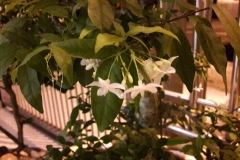 1_vcentertainment.com_.my1463237017fa3d53af5693d39f3f00fba86bc4f7686a58